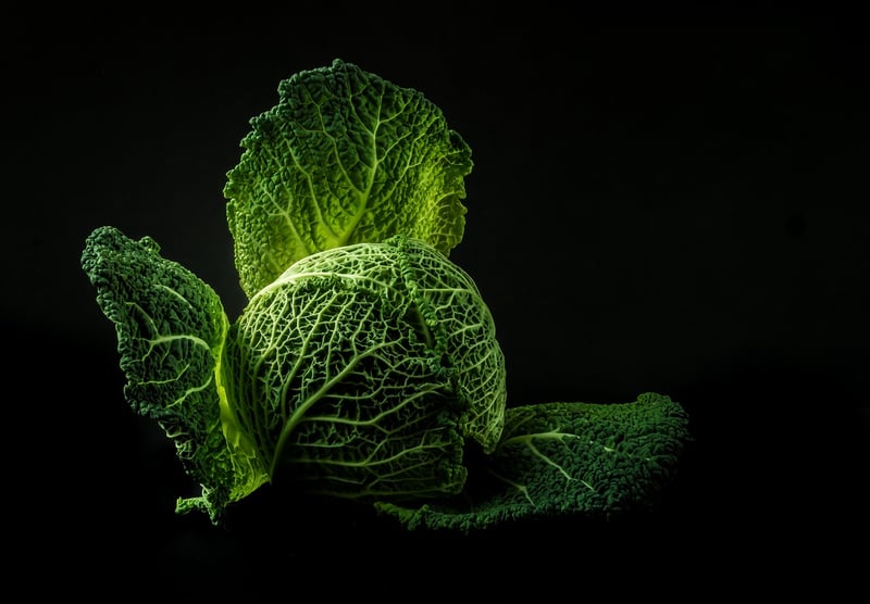 Fresh Vegetables